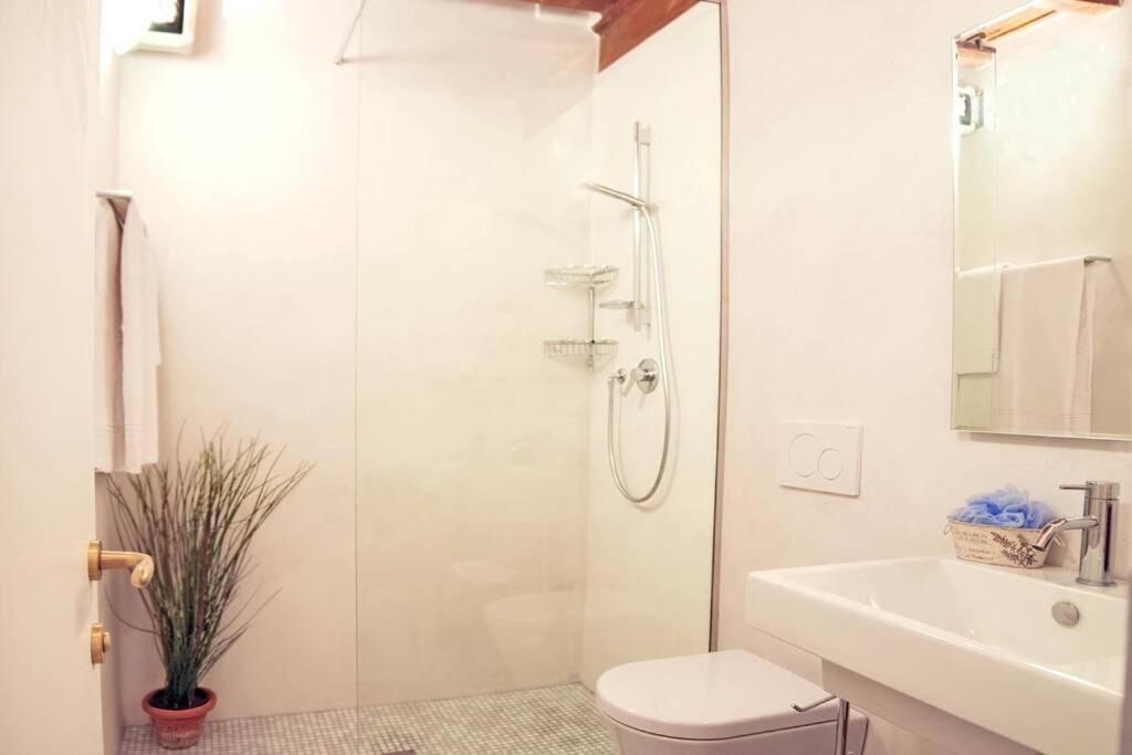 Apartament Cozy Macci flat 4 people near Santa Croce Square Florencja Zewnętrze zdjęcie